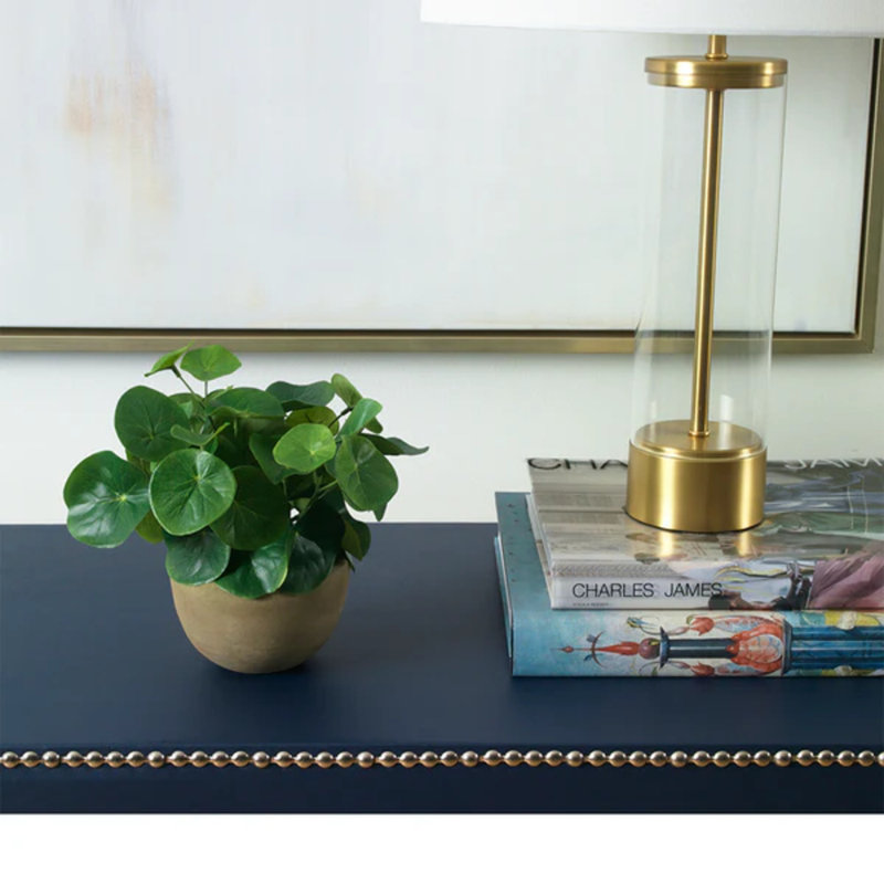 Blooms Pilea Plant In Terracotta Bowl