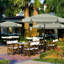 Parasol de marché 9 pi Hobert-144470697-203692444