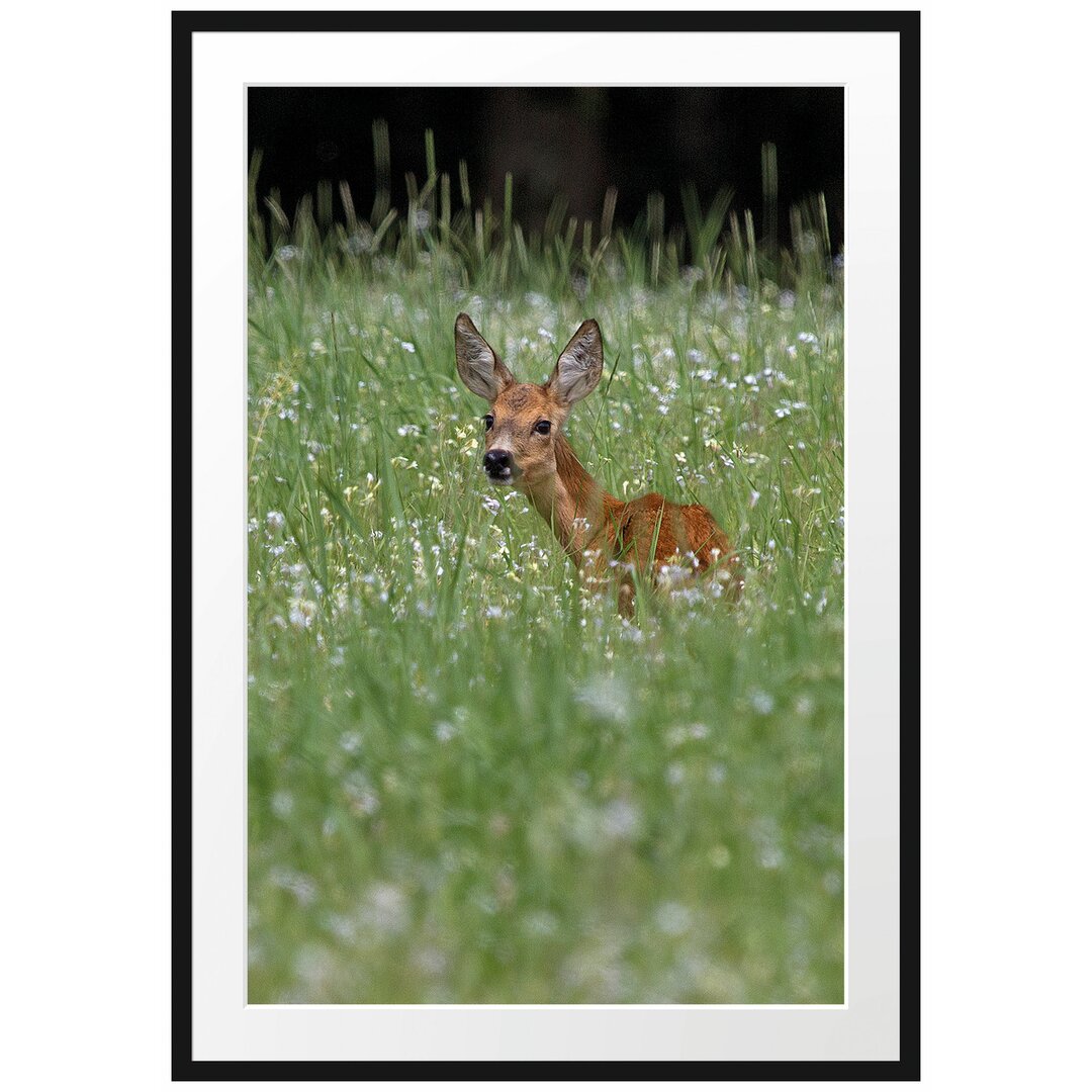 Gerahmtes Poster Kleines Rehkitz auf Wiese