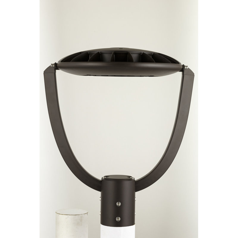 Tête de lanterne DEL câblée intégrée à 1 lumière Alleta Bronze, H 20,69 po x l 14 po x P 12 po