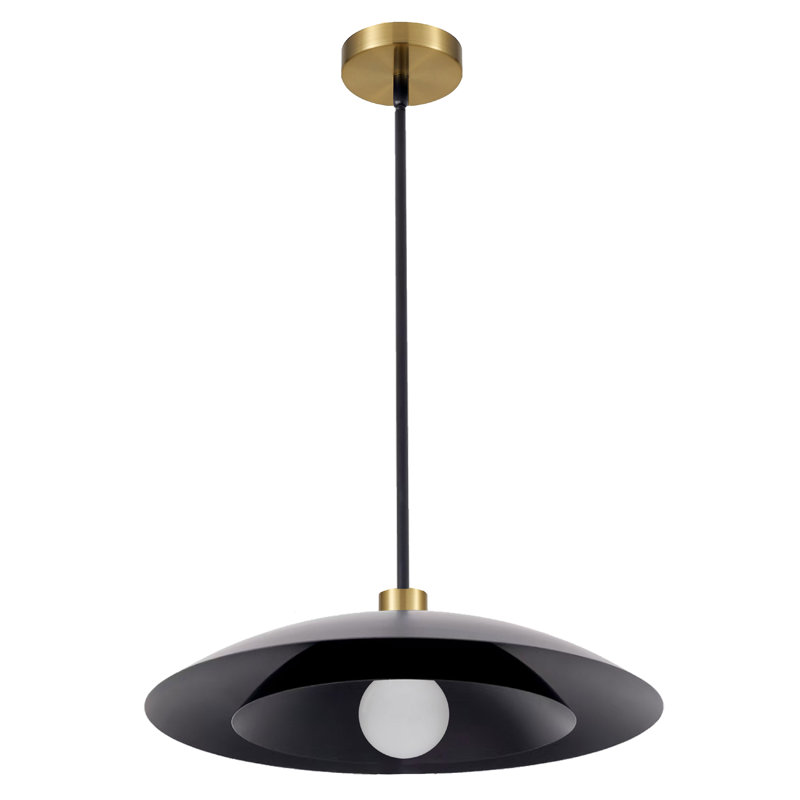 Luminaire suspendu 1 lumière Royston, Noir mat