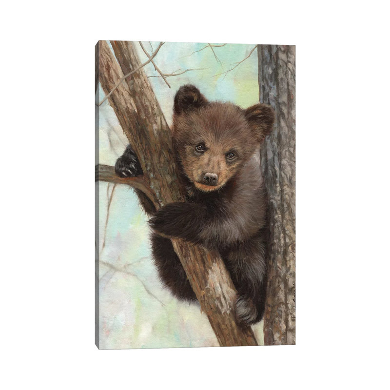«Brown Bear Cub in Tree» par David Stribble, reproduction d'art sur toile tendue, H 40 po x l 26 po x P 1,5 po