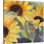 «Sunflowers In Watercolor II», art mural sur toile