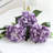Hydrangea Stem-1158631078