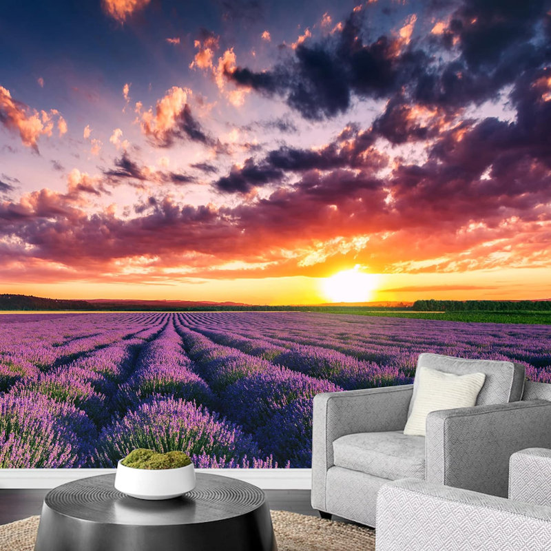 Canyon Home Decor, L 66 po x l 96 po