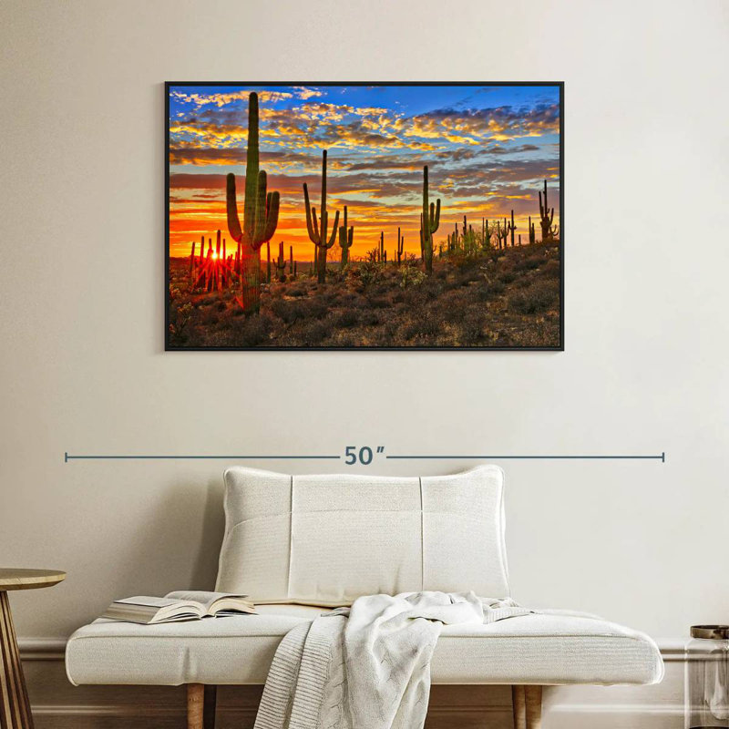Cactus coucher de soleil, Cadre flottant noir, 40 po x 27 po