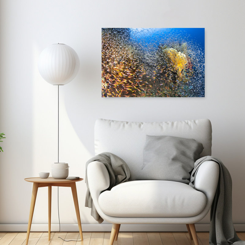 Golden Fish Swarm Colorful Vibrant Fish Nature Ocean Wall Art Print 1 Piece Wrapped Canvas Wall Art, 60.96cm H x 91.44cm W