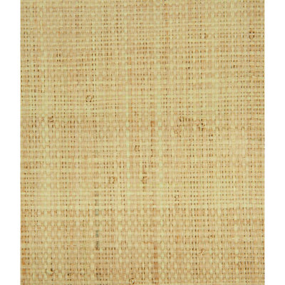 3.75' L x 45" W Wallpaper Panel