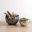 Terra Aluminum Decorative Bowl