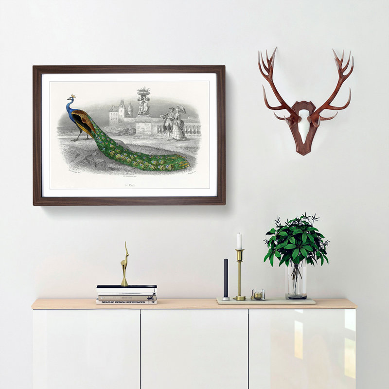 Admiring a Peacock - Framed Print, 27cm H x 36cm W x 2cm D, Walnut Framed