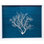Sealife Print