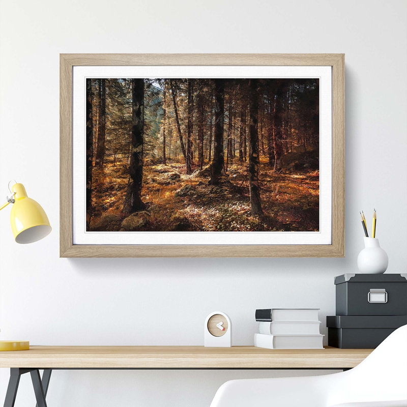 Within the Woods - Framed Print, Oak Framed, 27cm H x 36cm W x 2cm D