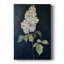 FLORAL Series CLXV - Gallery Cavas-178189593