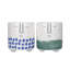 2 Piece Ceramic Cachepot Set