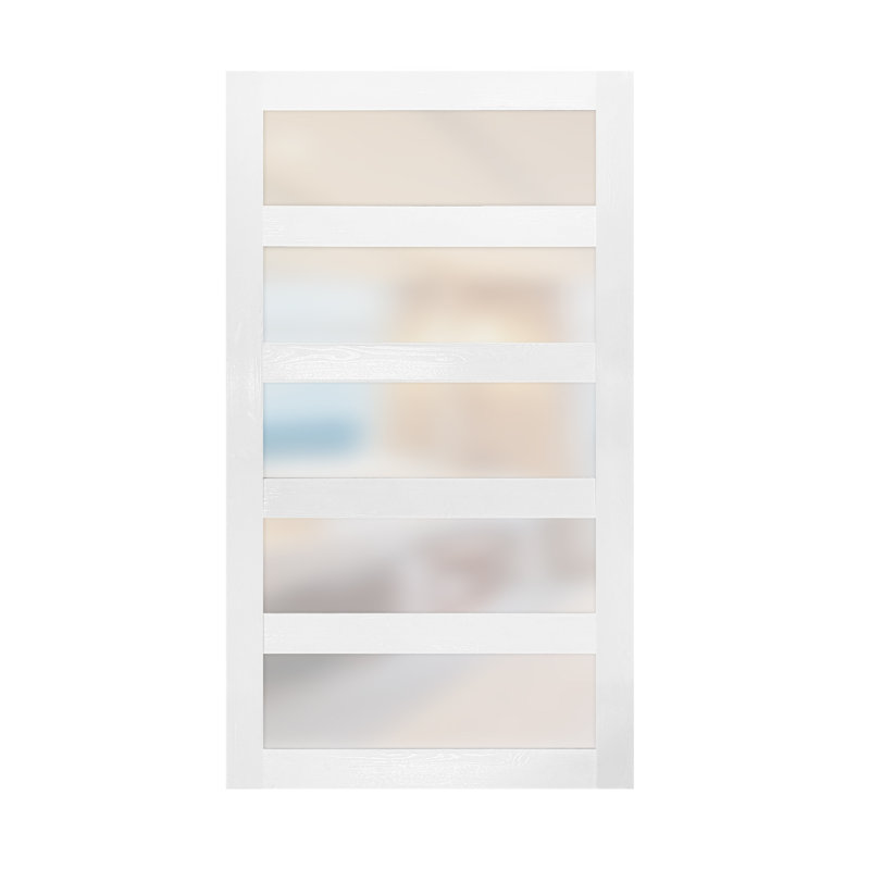 Porte standard en verre semi-solide, 50 po x 80 po