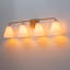 Dimmable Vanity Light-1974396351