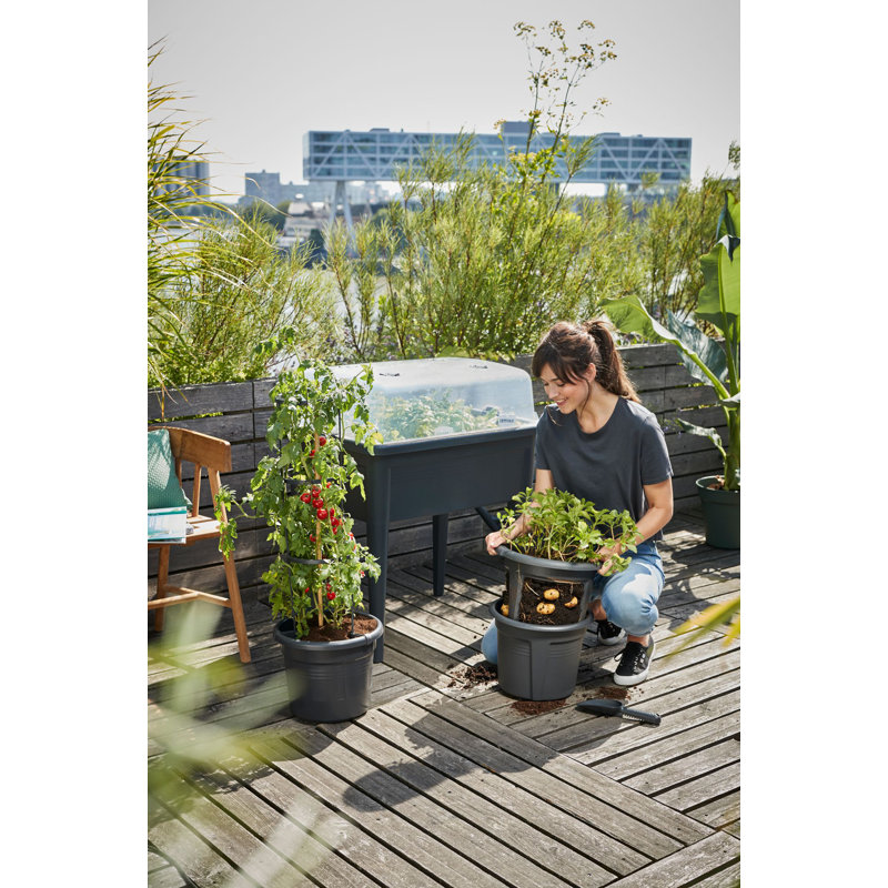 Elevated Planter, Transparent, 22.3cm H x 74.8cm W x 74.8cm D