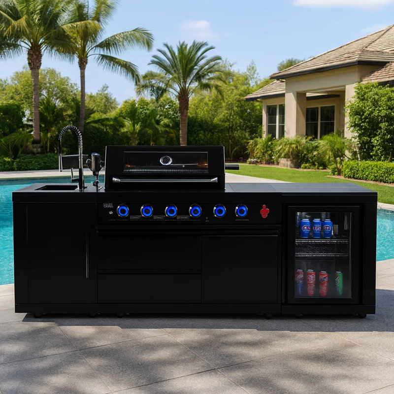 OpulentOasis 4947588297 Single Burner No Gas Grill