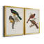 Toile encadrée de qualité supérieure Elegant Trogons III - prête à être accrochée-1080235504-1080235407