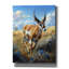 «Antelope» par Momart, art mural sur toile-1387889881