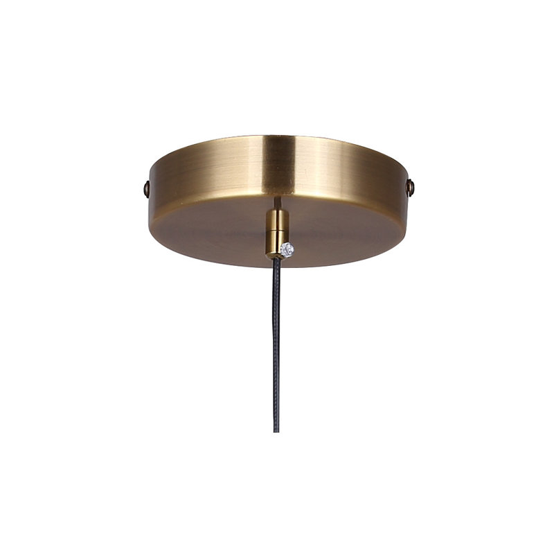 Luminaire suspendu 1 lumière DEL Darlington