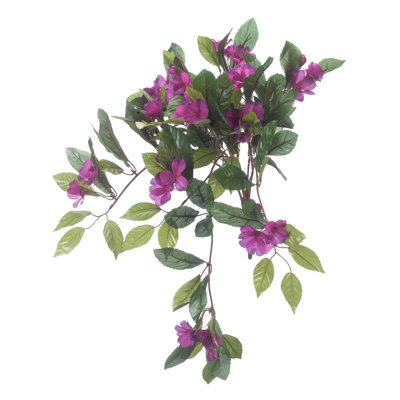 OakRidge Impatiens Hanging Stem