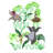 The Jungle Book (Keep the Wild in You) Paper Print