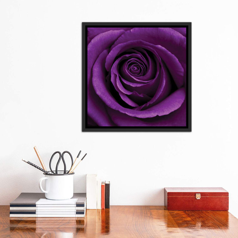 «Purple Rose I» par Tom Quartermaine - impression d'art graphique, H 18 po x l 18 po x 1,5 po, Cadre flottant noir patiné
