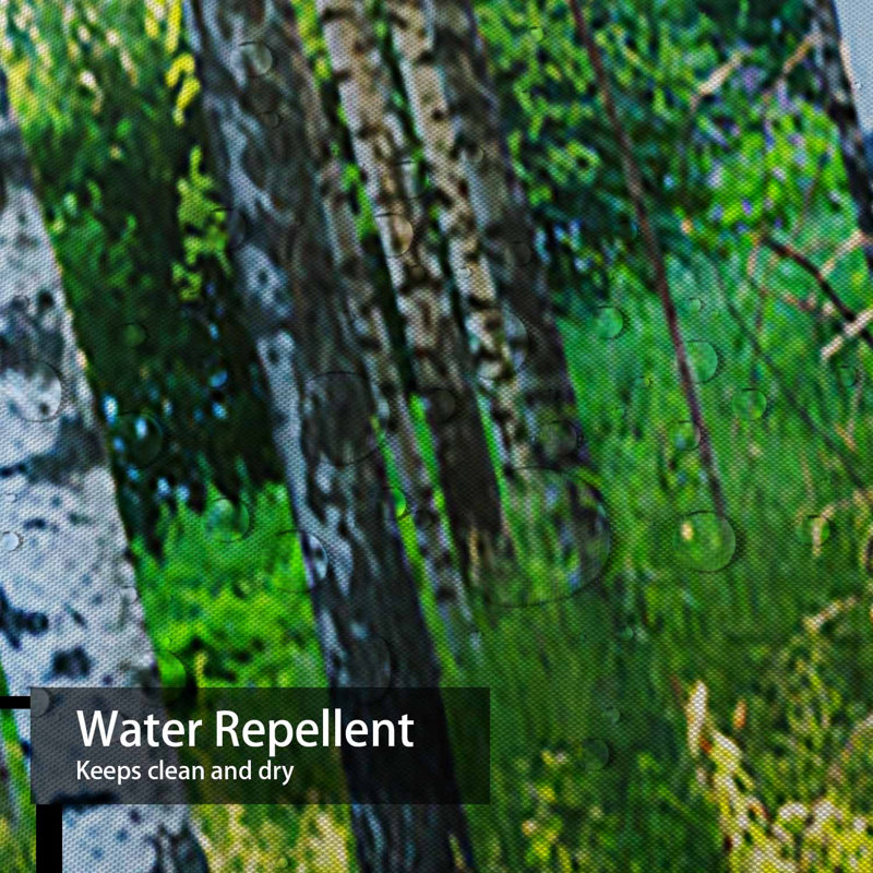 Rideau de douche Birch Forest, L 72 po x l 78 po