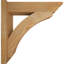 Sapin Douglas Douglas-31651711-31644783