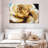 Kerner Gold Rose-108738330