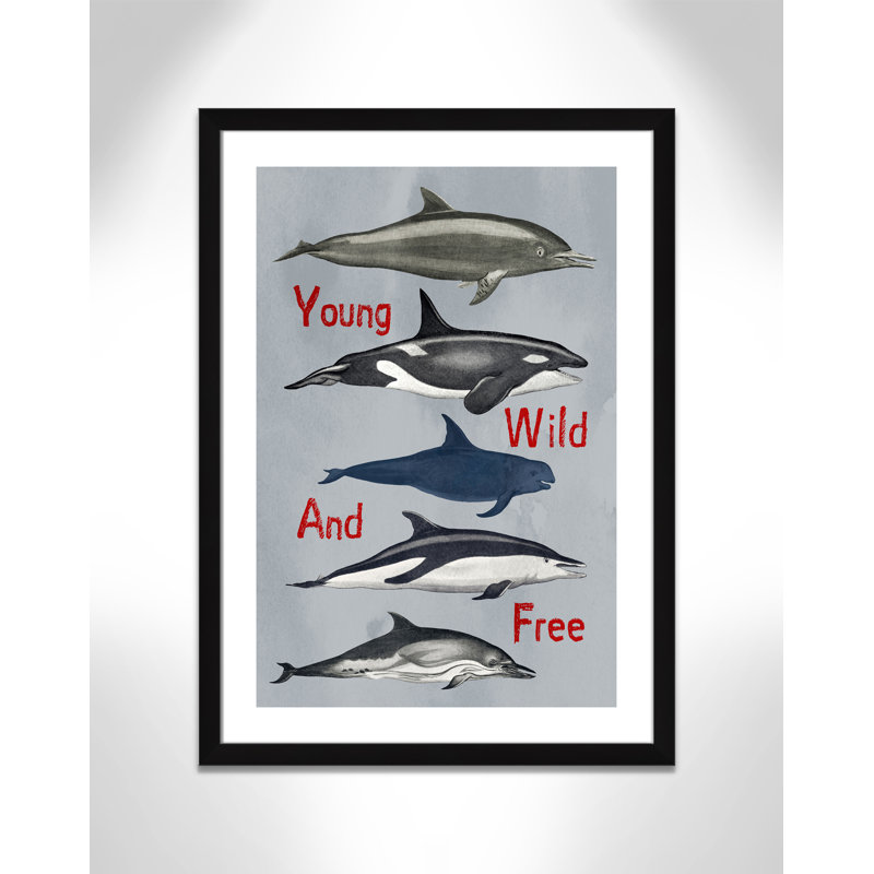 «Young and Wild», impression sur papier, H 34,5 po x l 24,5 po x P 0,6 po, Encadré plat noir