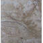 6" x 6" SeaStone Whole Medallion Tile in Buff