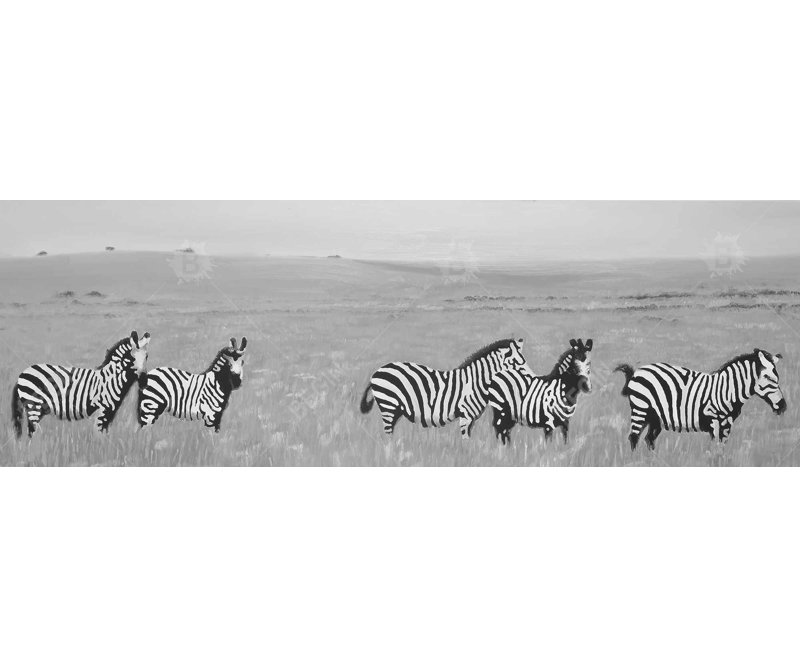 Zèbres dans la savane - cadre gris africain | Décoration