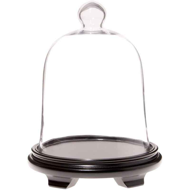 Cloche à dôme en verre 10 po x 13 po, Base en placage de bois noir