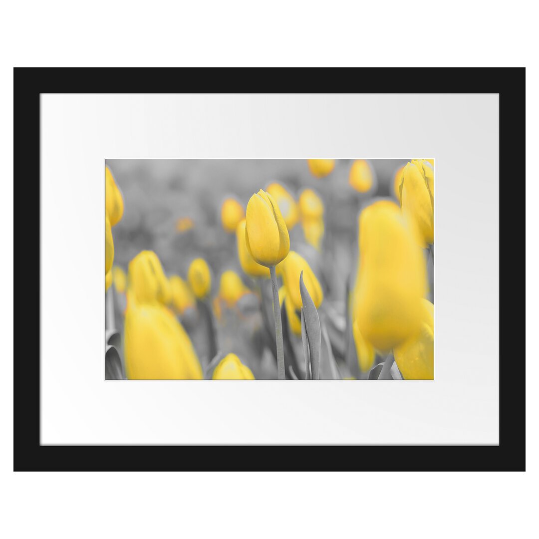 Gerahmter Kunstdruck Yellow Sea of Tulips