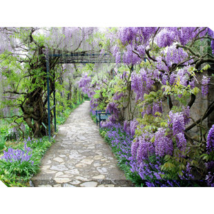 Art sur toile Wisteria Path