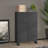 Chirata vidaXL Storage Chest, Metal Storage Cabinet, Metal Handle-1317410892