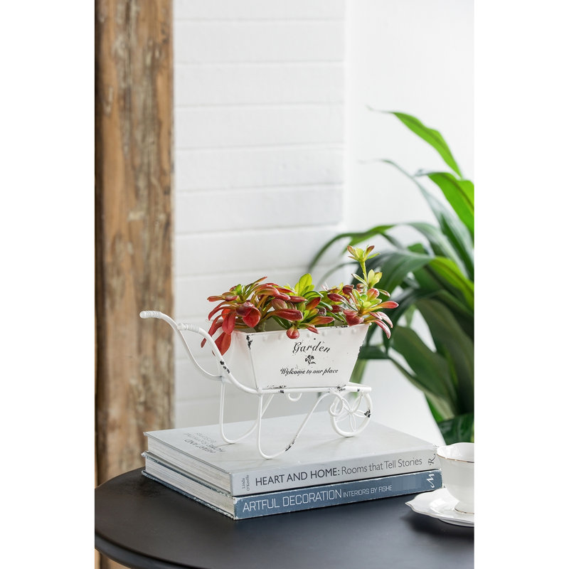 7 pouces de hauteur, blanc patiné, jardinière brouette, ciseaux, petits articles, décorations de rayonnage,