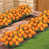 Orangé sélectionné