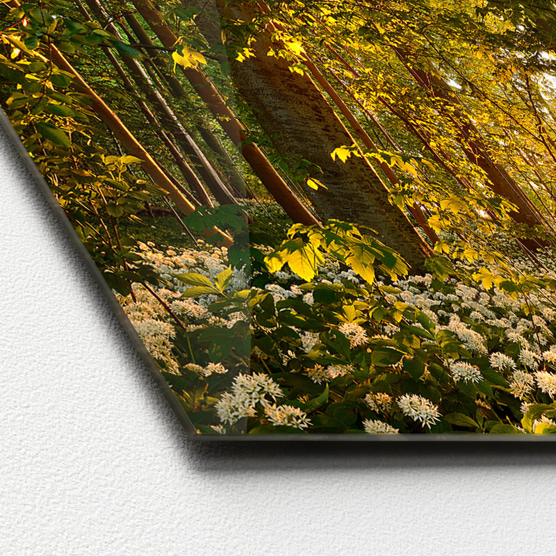 No Frame Painting, 50 cm H x 125 cm W x 1.4cm D