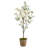 Cherry Blossom Tree in Farmhouse Planter