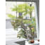 Brevis Linear LED Pendant-10388914-10388915-34338567