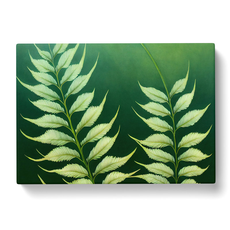 Enviable Fern Leaf - Wrapped Canvas, 35cm H x 50cm W x 3cm D