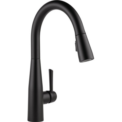 Essa Pull-Down Kitchen Faucet