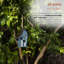 Hanging Birdhouse-1085714273