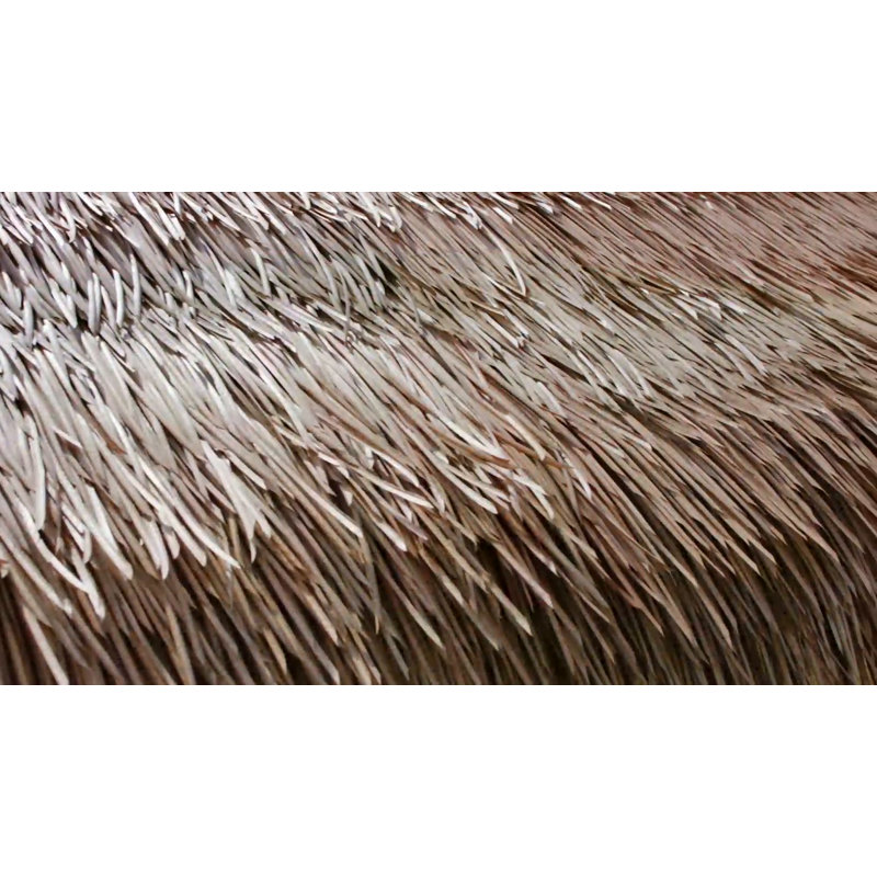 Tahitian Palm Thatch Panels for Tiki Huts, 24" x 36", Set of 2