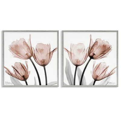 Ensemble de 2 tulipes translucides encadrées, par Albert Koetsier