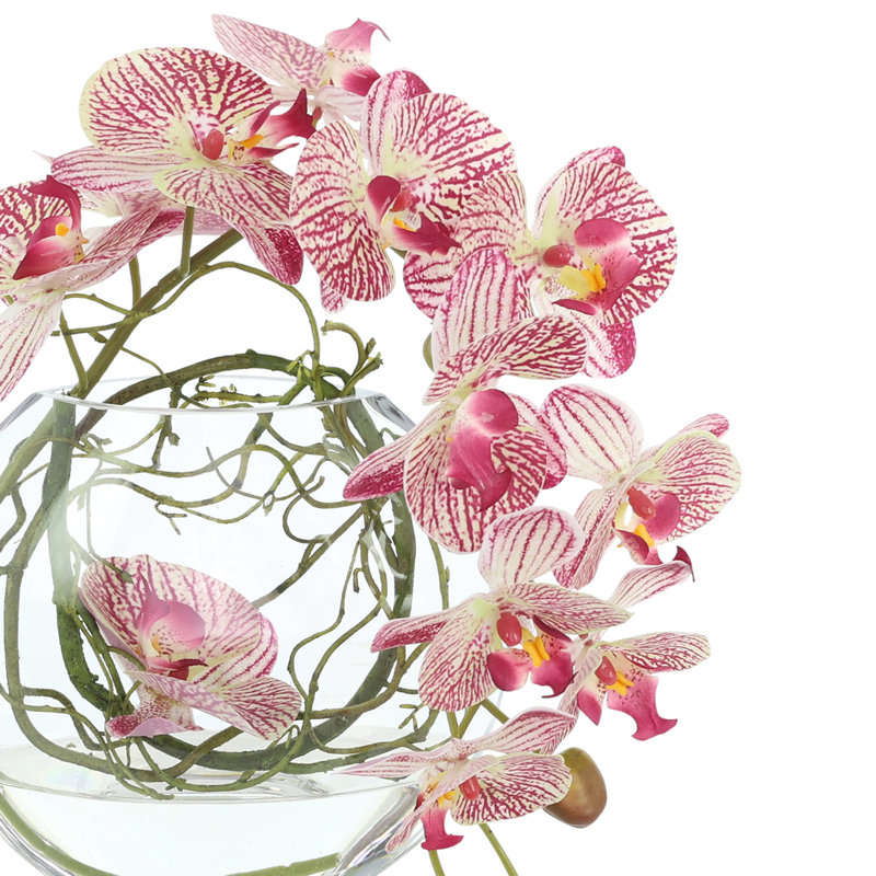 Orchid and Vine Arrangement in Glass Vase, Pink