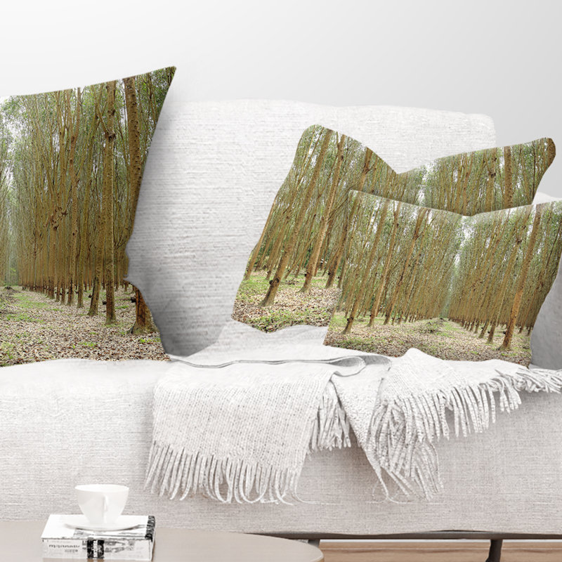Hévéa, arbres en caoutchouc en Thaïlande - coussin décoratif imprimé forêt, 12 po x 20 po, Rectangle